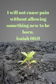 As we tolerate pain and suffering, not only personally, but for those to whom we minister, let us not ever lose sight of the fact that we have the hope of eternal life all because of the. Bible Quote Biblical Quotes Scripture Verses Scripture Quotes