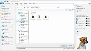 Download Winzip For Windows 23 0 13431