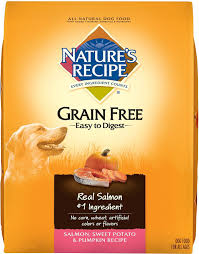Nature S Recipe Grain Free Salmon Sweet Potato Pumpkin Recipe Dry Dog Food 24 Lb Bag Chewy Com Dog Food Recipes Sweet Potato Pumpkin Recipe Dry Dog Food