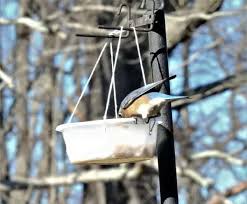This easy to build diy bird feeder pole will keep squirrels out of your bird feeders. Easy To Make Bird Feeders