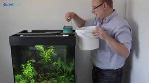 How to treat stinky aquarium water. How To Use Ammonia Remover Youtube