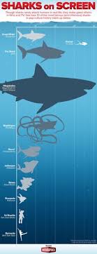This a bit less than a human being eats. 99 Megalodon Shark Ideas Megalodon Megalodon Shark Largest Shark
