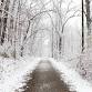 Holiday Hike event in Rochester Hills, MI