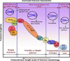 It really looks and feels like this bathroom scale logs your weigh in's automatically and tracks your progress through an app. The Fracture Of Bulk Metallic Glasses Sciencedirect