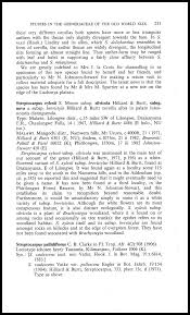 Image result for Streptocarpus hirtinervis