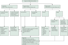 Willison h.j., jacobs b.c., van doorn p.a. Guillain Barre Syndrome The Lancet