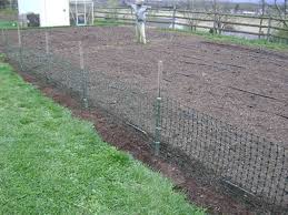 Maybe you would like to learn more about one of these? Plastic Trellis An Inexpensive Option Of Trellis Netting