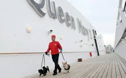 Remember that your pet must be muzzled and on a lead when outside your cabin. Pet Travel By Sea Private Yacht Ferry Cruise Ship