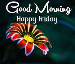 Pin On Good Morning Happy Friday Images