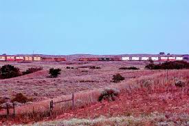 Image result for tbn:cRxpWML3C6TQFM::farm3.static.flickr.com/2382/2420623259_e3c8cd4fd8.jpg