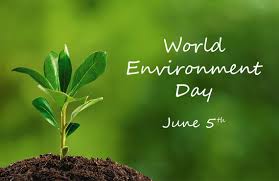 विश्व पर्यावरण दिवस का पहला स्लोगन केवल एक पृथ्वी (only one earth) था। पहला विश्व पर्यावरण दिवस 5 जून, 1974 को मनाया गया था। विश्व पर्यावरण दिवस 2021 की थीम. à¤µ à¤¶ à¤µ à¤ªà¤° à¤¯ à¤µà¤°à¤£ à¤¦ à¤µà¤¸ 2021 à¤® à¤¸ à¤œ Sms à¤• à¤Ÿ à¤¸ à¤‡à¤® à¤œ World Environment Day Whatsaap Images