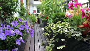 We did not find results for: How To Make A Balcony Garden