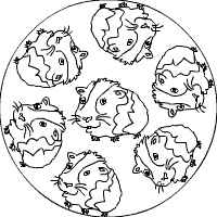 Ausmalbilder meerschweinchen in der rubrik ausmalbilder meerschweinchen zum ausdrucken und ausmalen. Nagetier Mandalas Im Kidsweb De