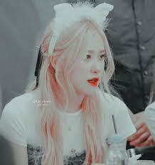 4 rose theme 1 of 2 images cr kay dream on we heart it blackpink rose rose white aesthetic rose theme