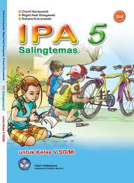 Kunci jawaban buku siswa kelas 6 tema 3 halaman 115 116 sumber : Buku Ipa Terpadu Kelas 7 Penerbit Erlangga Pdf Info Berbagi Buku