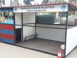 kopek beslenme odagi panosundaki pin