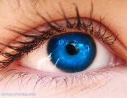Blue Collectible Anime Lens Halloween Olhos Maravilhosos Cores De Olhos Olhos