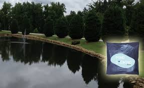 Royal blue is the most popular color pond dye used on the market. Dye For Lakes Aquaculture Pond Dye Manufacturer Supplier Exporter In Mumbai India