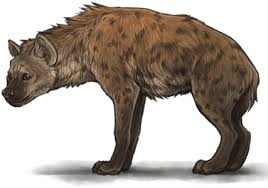Download Hyena Png Transparent Images Transparent Backgrounds Hyena Transparent Background Transparent Cartoon Jing Fm Polish your personal project or design with these hyena transparent png images, make it even more personalized and more attractive. download hyena png transparent images