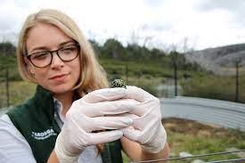 We did not find results for: 10 Cool Animal Jobs You Could Get With An Animal Science Degree