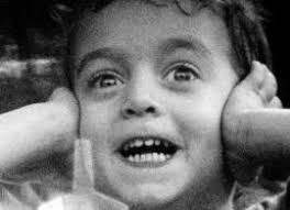 Eric Pauwels en Punto de Vista