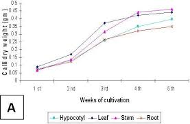 Prefix Cum Suffix Graph.Ppt