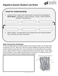Body Systems Inquiry Labs Bundle By Kesler Science Tpt