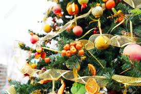 The plant bears bright red clusters of fruits that ripen just about the same time as the advent season. Fragment Of Christmas Tree Decorated With Fruits And Vegetables Stock Photo Picture And Royalty Free Image Image 47557142