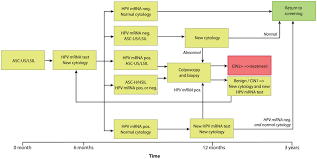 Flow Chart Showing The Guidelines For Hpv E6 E7 Mrna Testing