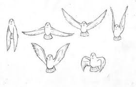 Bird Flying Animation Blue Jay 56 Ideas Birds Flying Animation Reference Character Design References