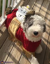 Buy Beauty And The Beast Costumes For Dogs Cheap Online