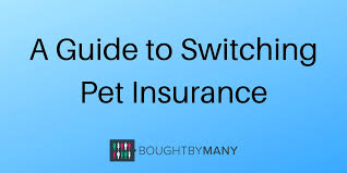 Most companies do not include routine dental care, like teeth cleanings, as part of their insurance coverage. A Guide To Switching Pet Insurance Bought By Many