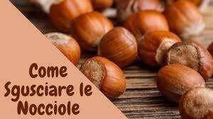 Scegli la consegna gratis per riparmiare di più. Sgusciare Le Nocciole Come Farlo Senza Difficolta Youtube