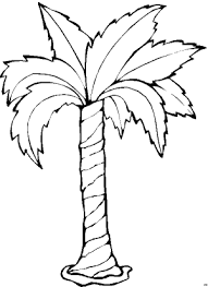 Palme Blumen Malvorlagen Blumen Malvorlagen Ausmalen
