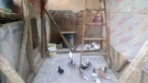 ازاي تخلي الحمام البلدي بتاعك يطير ويرجع تاني فوق سطح منزلك مع كوتو ادم ladder attributes