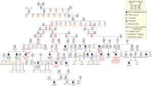 Melanoma is a skin cancer usually caused by ultraviolet rays from the sun or tanning beds. Combined Genetic And Genealogic Studies Uncover A Large Bap1 Cancer Syndrome Kindred Tracing Back Nine Generations To A Common Ancestor From The 1700s