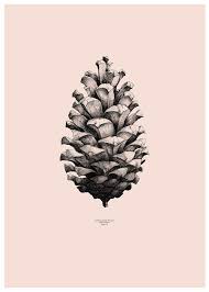 Epingle Par Marie Manoury Sur Ink Power Pomme De Pin Dessin Art Dessin Et Dessin
