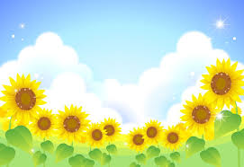 花 の 風景 イラスト google trsene ひまわり 向日葵 イラスト ひまわり畑