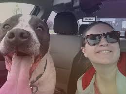 Someone's handsome boy is hanging out at my house