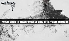 Maybe you would like to learn more about one of these? What Does It Mean When A Bird Hits Your Window Sign Meaning