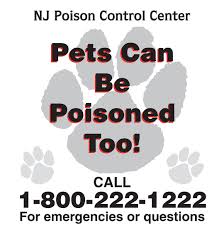 Avoid finding answers on the internet. Pet Posters Nj Poison Control Center