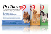 Pettrust Plus Start Saving Money Saving Money Pets