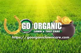 Call for your free onsite lawn assesment today. Go Organic Lawn Care The Healthier Choice In Lawn Care 973 790 3638