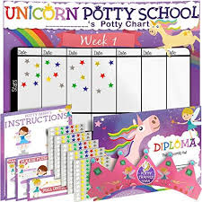Potty Training Chart Reward Sticker Chart Girls Theme