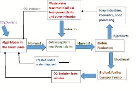 A Simple Process Flow Chart Of A Sustainable Great Lakes Algae To Bio Fuel System Power Plant Water Treatment Great Lakes
