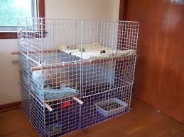 These free rabbit hutch plans will help you build a sturdy structure that will keep your pet rabbit safe and secure from the weather and out of reach of predators. 50 Diy Rabbit Hutch Plans To Get You Started Keeping Rabbits
