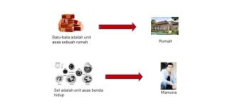 Makhluk hidup bersel satu dapat hidup mandiri dan dapat mencukupi kebutuhan hidupnya sendiri seperti energi, mineral, dan sebagainya. Sel Sebagai Unit Asas Benda Hidup Sel Sebagai Unit Asas Hidupan