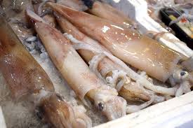 Check spelling or type a new query. Bikin Geger Benda Bening Di Dalam Cumi Cumi Dipastikan Bukan Plastik Semua Halaman Kids