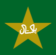 Pakistan national cricket team