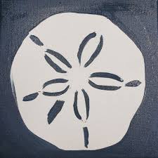 How to draw a sand dollar.we will teach you the unique and comprehensive strategies on how to draw a sand dollar the easy way possible. Sand Dollar Painting Art Room Happenings